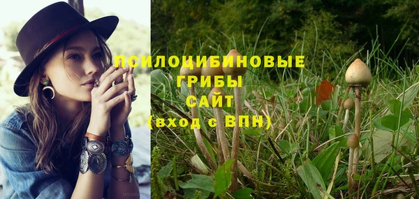 спайс Абинск
