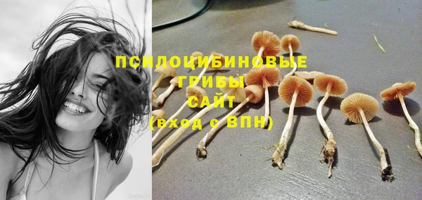 спайс Абинск