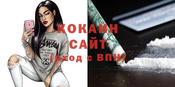 гашик Новозыбков