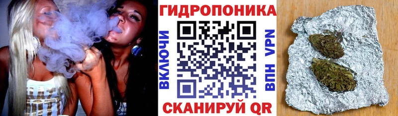 МАРИХУАНА гибрид  Холм 